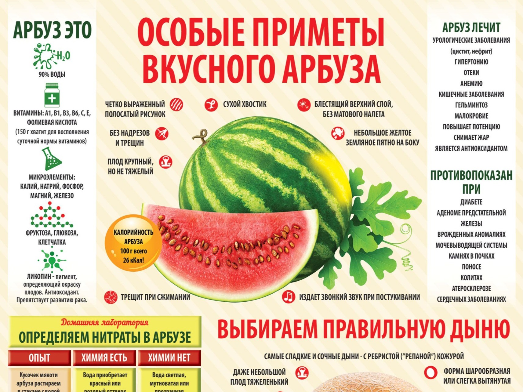 Выбираем правильную бахчевую культуру.